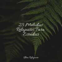 Navegando En La Nube - Musica Relajante Piano Master & Ioga & Relajar