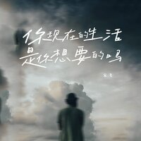 你现在的生活是你想要的吗 - 宋飞