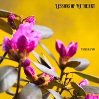 My Oh My - Anzhelika Nos