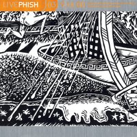 Suzy Greenberg - Phish