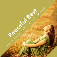 Nature Beautiful Moments - Healing Sounds for Deep Sleep and Relaxation & Rest & Relax Nature Sounds Artists & Nature Sounds