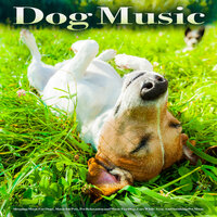 Relaxing Puppy Music - Benjamin Shadows & Dog Music & Music for Dogs
