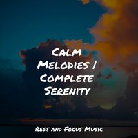 Spring Drops - Natureza Musica Bem-Estar Academia & Academia de Meditação Buddha & Music For Absolute Sleep