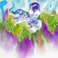 FLOWER - CUDEA