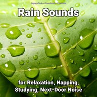 Cool Atmosphere - Nature Sounds & Rain Sounds & Regengeräusche