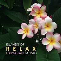 Ukulele Relaxations - Chill Out Time Consort