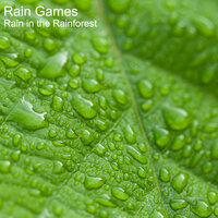 Frogs, Birds and Morning Rain - Rain Games