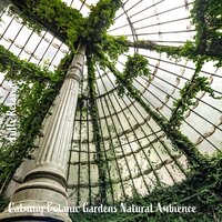 Calming Botanic Gardens Natural Ambience, Pt. 4 - Steve Brassel