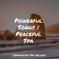 Mellow Tones - Elements of Nature & Sound Healing Center & Sleep Lullabies for Newborn