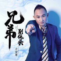 兄弟别低头 - 小宝哥