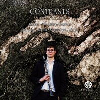 Clarinet Concerto No. 4 in E Minor, WoO 20: I. Allegro Vivace - Ángel Martín Mora & Ross Collins & Луи Шпор