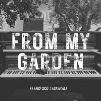 Birds - Francesco Taskayali
