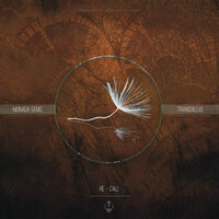 Deseos - Zebracak3