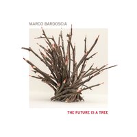 Primavera - Dario Congedo & Marco Bardoscia & William Greco