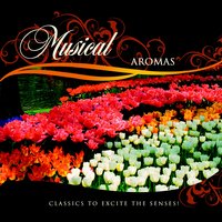 String Quartet No.2 in D major III. Notturno, Andante - Rimsky-Korsakov Quartet & Александр Порфирьевич Бородин