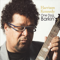 Them 90's Blues - Harrison Kennedy