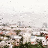 Rain on Pavement - Sounds of Nature White Noise for Mindfulness Meditation and Relaxation & Oasis of Meditation & Sonidos De Lluvia y Tormentas