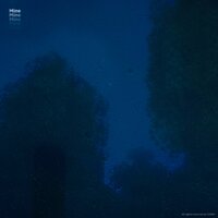 mine - CXRGI