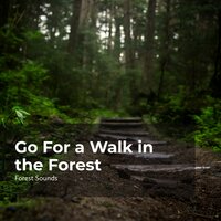 Lush Forest Adventure - Ambient Forest & Forest Sounds & Rainforest Sounds