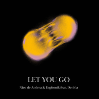 Let You Go - Nico De Andrea & Euphonik & Denitia