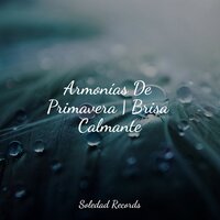 Dormido Profundo - Relajantes sonidos de lluvia & Relajar & Master Meditação