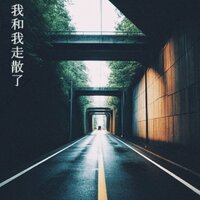 我和我走散了 - 林氧气
