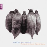 Organ Sonata No. 3 in D Minor, BWV 527: II. Adagio e dolce - Manfredo Kraemer & The Rare Fruits Council & Johann Sebastian Bach
