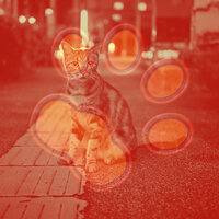 Magnificent Jazz Saxophone - Vibe for Home Cats - Cat Music Therapy