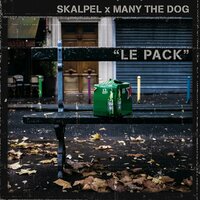 Outro 2 - Skalpel & Many the Dog
