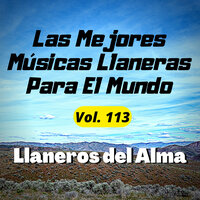 Mi Pecado - Llaneros del Alma