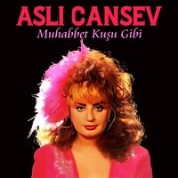 İnsanlık Nerde Sen Nerdesin - Aslı Cansev