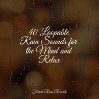 Lakeside, Birds, Lapping Water - Sleep Sounds Of Nature & Yoga Namaste & Water Sounds for Sleep