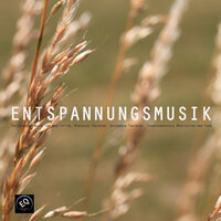 Soul Travel III - Entspannungsmusik Akademie