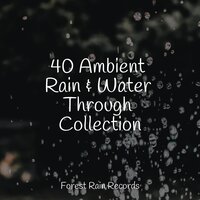 Trickling Rains into Drains - The Sleep Helpers & Nature Sounds Nature Music & Rainfall