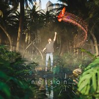 Objets Perdus 2 : Labyrinthe - Nelson