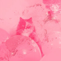 Bubbly Moods for Stressed Kittens - Calm Cat Music