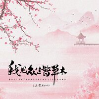 我见众生皆草木 - 王贺Ares