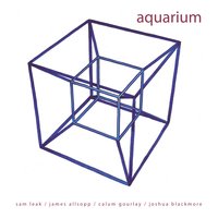 Shades of Grey - Aquarium