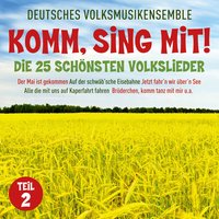 Auf einem Seemannsgrab blühen keine Rosen - Deutsches Volksmusikensemble