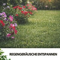 Samtige Traumlandschaftsreise - Ruido Blanco Hart & Cat Music Therapy & Sommeil