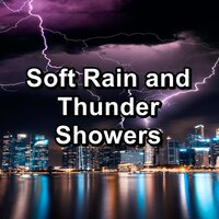 Quiet Rain and Thunder For Quiet Nights To Loop for 10 Hours - Rain Sounds & Nature Sounds & Raindrops Sleep & Rain Forest