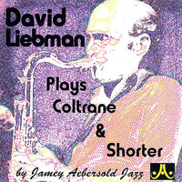 Mr. Day - David Liebman