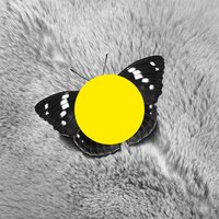 Taiyo - Marc Romboy & Ken Ishii