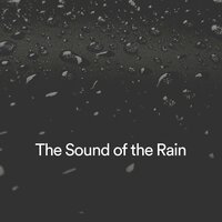Rainstorm Chimes - Forest Rain FX