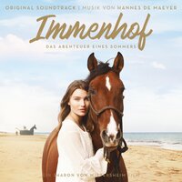 Main Theme - Hannes De Maeyer