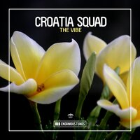 The Vibe - Croatia Squad