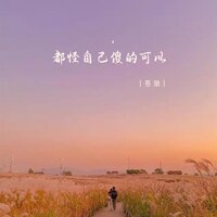 都怪自己傻的可以 - 苍狼