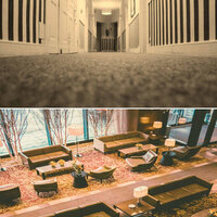 Carefree Music for Long Weekend Getaways - Dinner Music