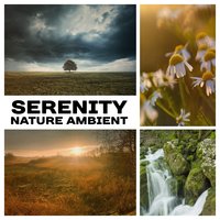 Distant Soft Rain - Nature Collection