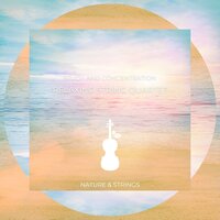 You - Nature & Strings